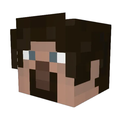 sunfapper Minecraft avatar head, 3D render