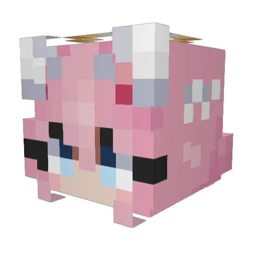 sunfl0w3r_ Minecraft avatar head, 3D render