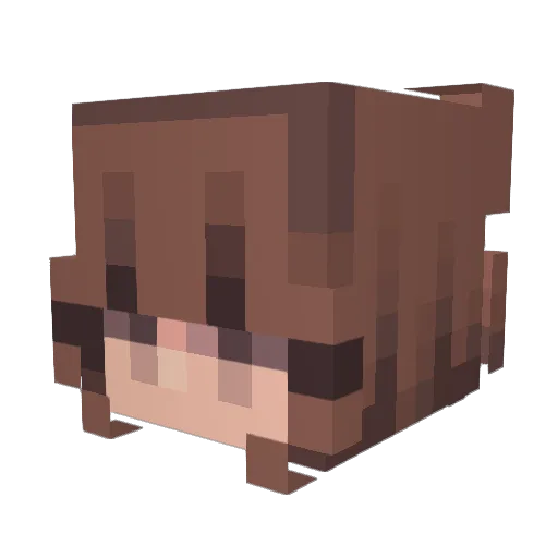 sunflow24 Minecraft avatar head, 3D render