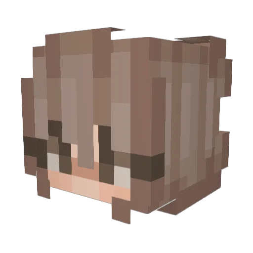 sunflowarhero Minecraft avatar head, 3D render