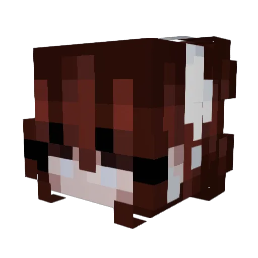 sunfloweerrs Minecraft avatar head, 3D render