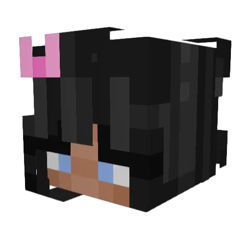 sunflower64 Minecraft avatar head, 3D render