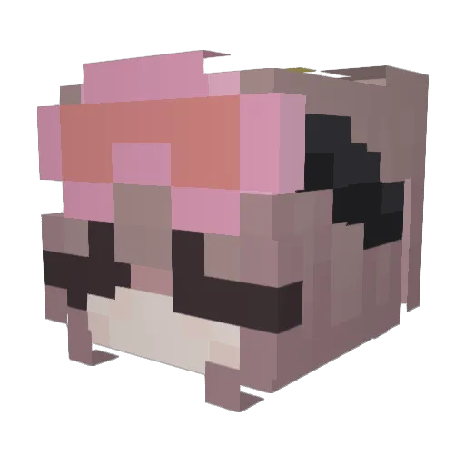 sunflower_gurl Minecraft avatar head, 3D render