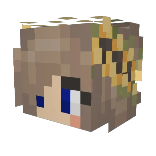 sunflower_pixels Minecraft avatar head, 3D render