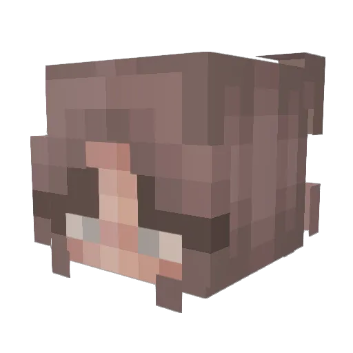 sunflower_vol7 Minecraft avatar head, 3D render