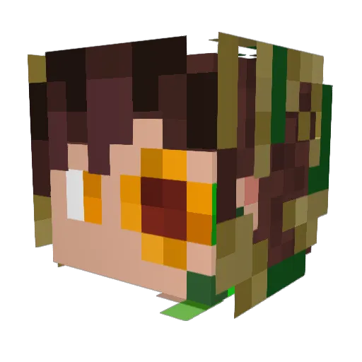 sunflower_wiz Minecraft avatar head, 3D render