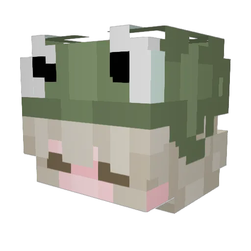 sunflowerfrogg Minecraft avatar head, 3D render