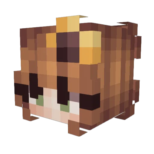 sunflowerjesters Minecraft avatar head, 3D render