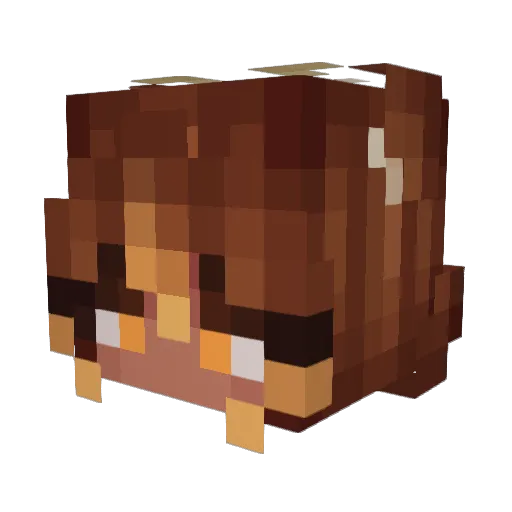sunflowerseeds69 Minecraft avatar head, 3D render