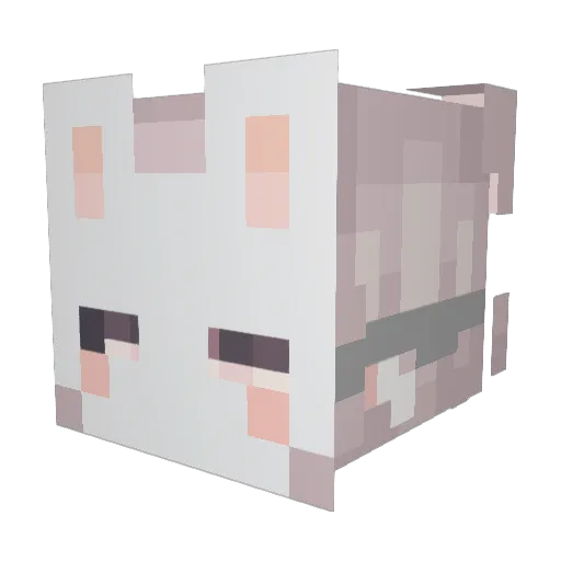 sunfloworz Minecraft avatar head, 3D render