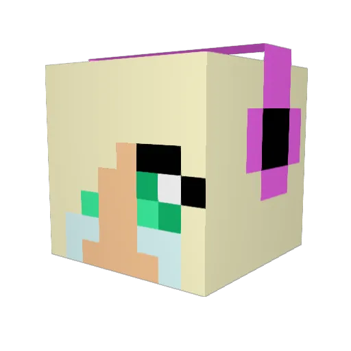 sunfun77 Minecraft avatar head, 3D render