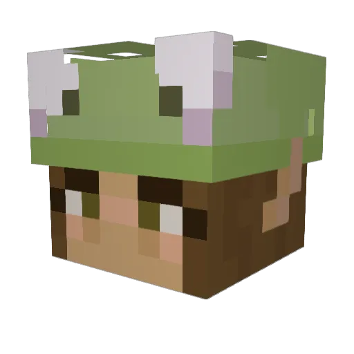 sunfuzzie Minecraft avatar head, 3D render