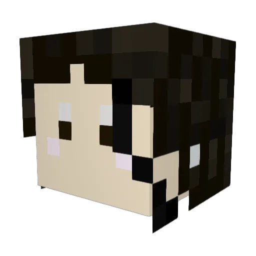 sung_ash Minecraft avatar head, 3D render
