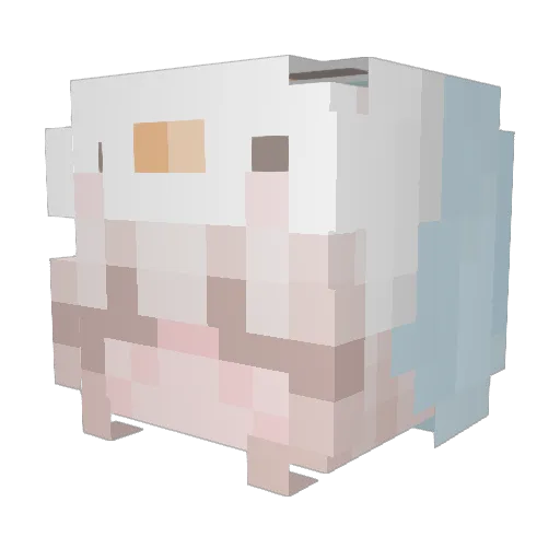 sungsung06 Minecraft avatar head, 3D render