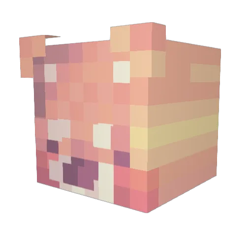 sungwoon25 Minecraft avatar head, 3D render