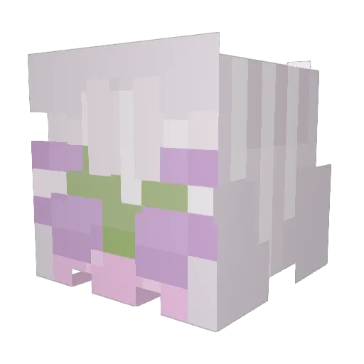 sunhatkid69 Minecraft avatar head, 3D render