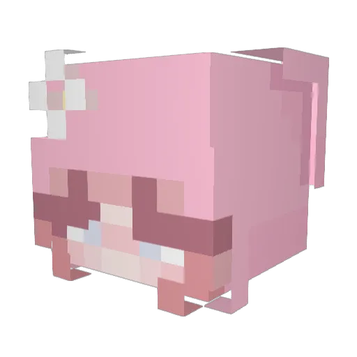 suni Minecraft avatar head, 3D render