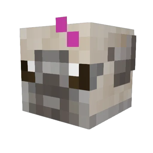 sunias Minecraft avatar head, 3D render