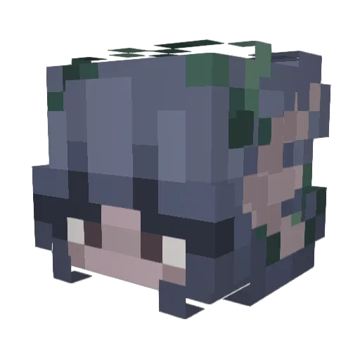 suniiside Minecraft avatar head, 3D render