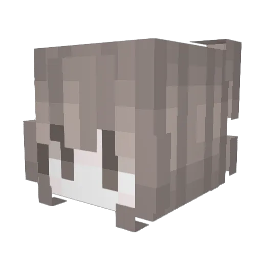suniiy Minecraft avatar head, 3D render