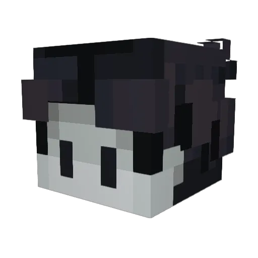 sunkye Minecraft avatar head, 3D render