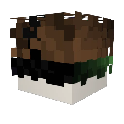 sunlion2 Minecraft avatar head, 3D render