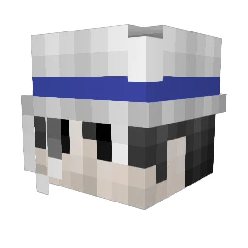 sunmonky Minecraft avatar head, 3D render