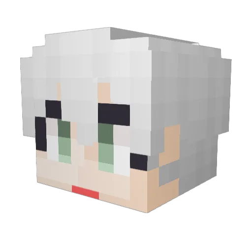 sunnet_0719 Minecraft avatar head, 3D render