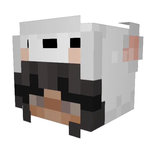 sunnflwrs Minecraft avatar head, 3D render