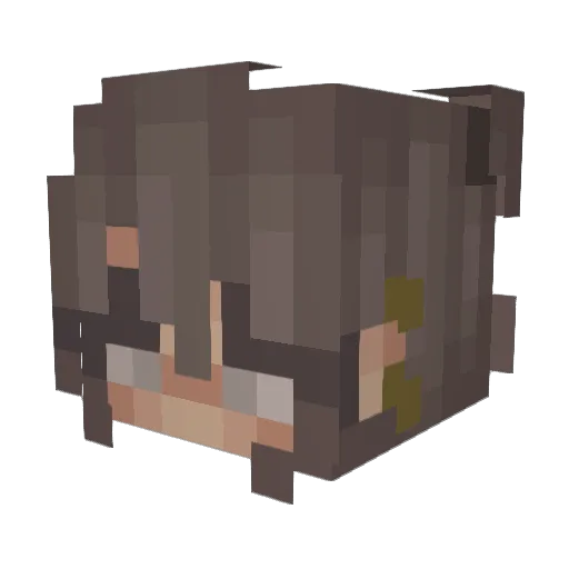 sunnidaisies Minecraft avatar head, 3D render