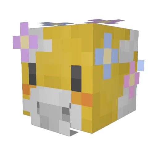 sunnie_bunnie Minecraft avatar head, 3D render