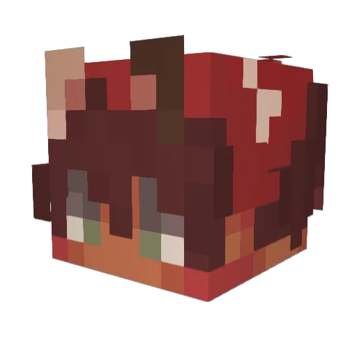 sunniestsideup9 Minecraft avatar head, 3D render
