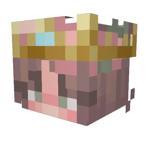 sunny063 Minecraft avatar head, 3D render