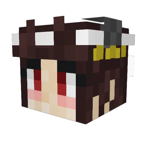 sunny141p Minecraft avatar head, 3D render