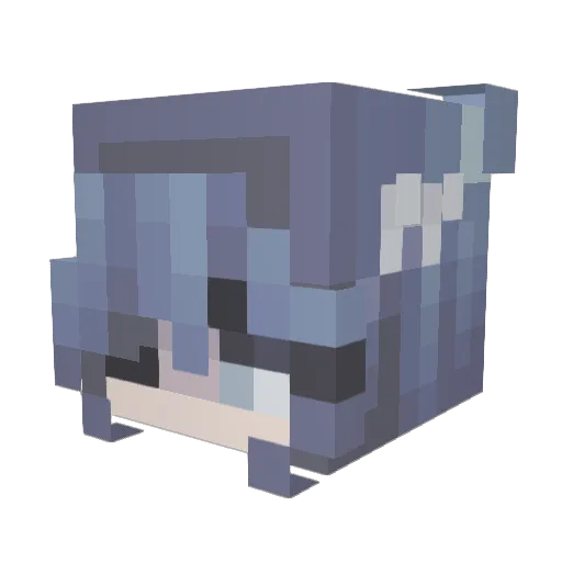 sunny3640 Minecraft avatar head, 3D render