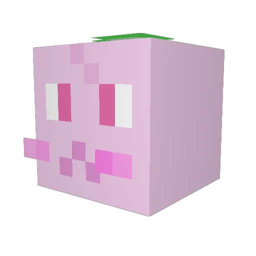 sunny413 Minecraft avatar head, 3D render