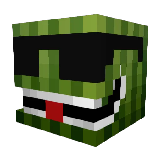 sunny504 Minecraft avatar head, 3D render