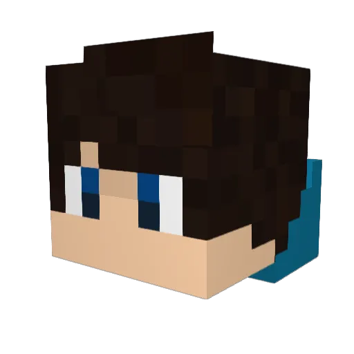 sunny91 Minecraft avatar head, 3D render