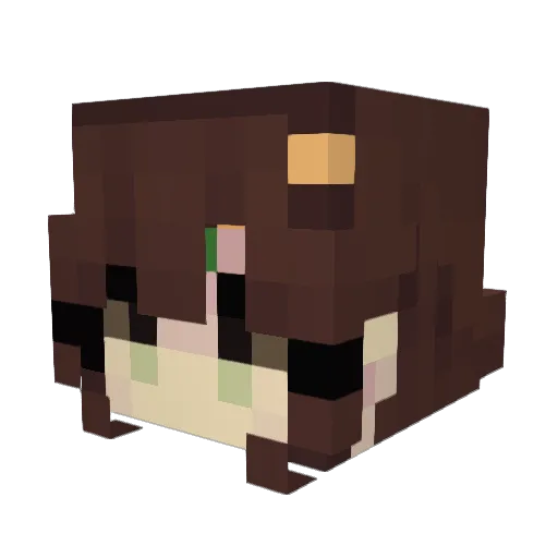 sunny_mp3 Minecraft avatar head, 3D render