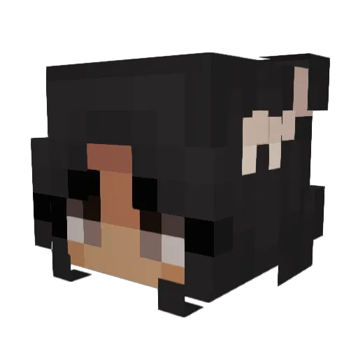 sunnybois Minecraft avatar head, 3D render