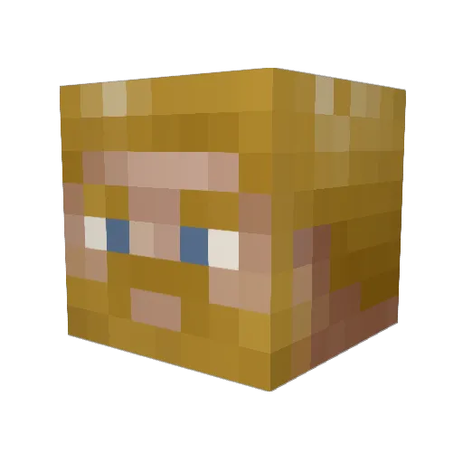 sunnyboo Minecraft avatar head, 3D render