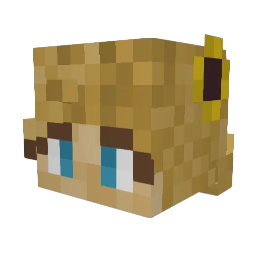 sunnycicada24 Minecraft avatar head, 3D render