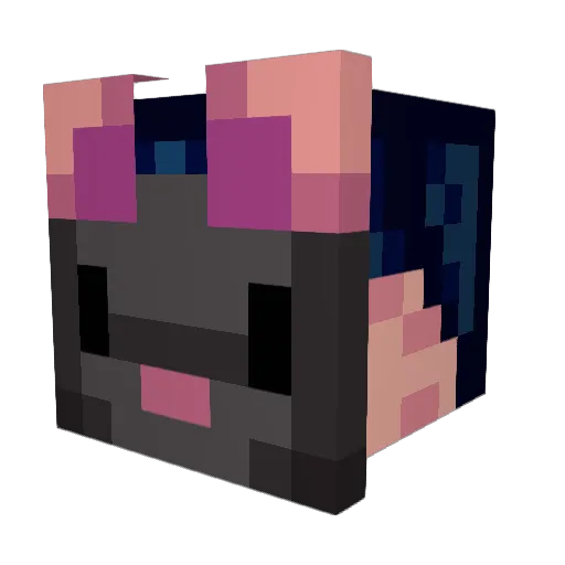 sunnycreature80 Minecraft avatar head, 3D render