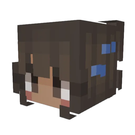 sunnycriicket Minecraft avatar head, 3D render