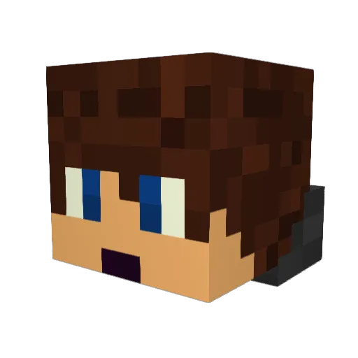 sunnydilld Minecraft avatar head, 3D render