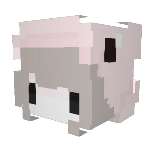 sunnying Minecraft avatar head, 3D render