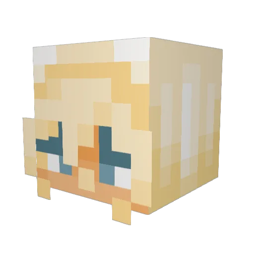 sunnyiscool92 Minecraft avatar head, 3D render