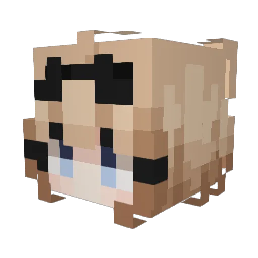 sunnyishstars Minecraft avatar head, 3D render