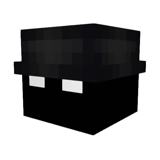 sunnyman_ Minecraft avatar head, 3D render