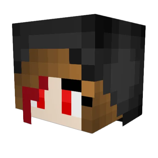 sunnyplayz Minecraft avatar head, 3D render